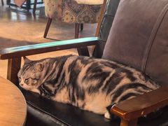 -咖法森林·咖啡  酒吧(天河店)