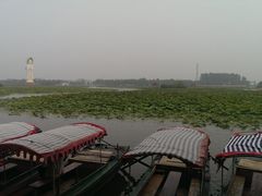 -白洋淀景区