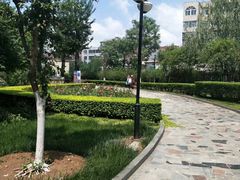 -山东大学(洪家楼校区)
