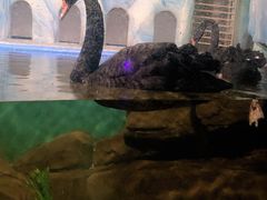 -常州海昌海洋探索馆
