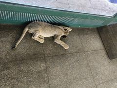 -秦皇岛野生动物园