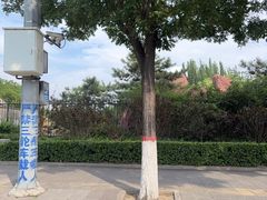 -大槐树寻根祭祖园
