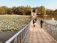 -东湖落雁景区