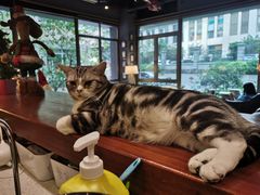 -咖法森林·咖啡  酒吧(天河店)