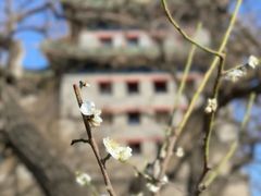 -北京明城墙遗址公园