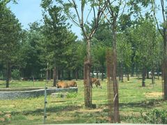 -秦皇岛野生动物园