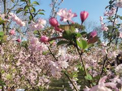 -白塘生态植物园