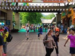 -苏州乐园森林水世界