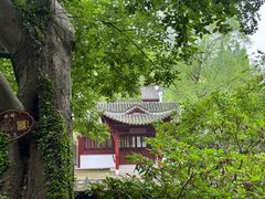 -采石矶景区