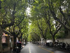 -上海交通大学医学院附属瑞金医院(总院)