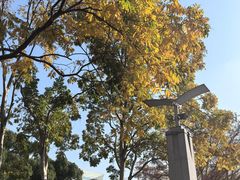 -上海科技馆(地铁站)