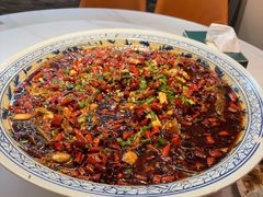 -新概念来凤鱼(璧山店)