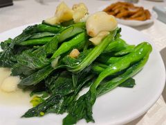 清炒菜心-顺峰海鲜酒楼(省府店)