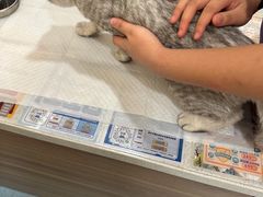 -萌兽医馆·犬猫专科·眼科中心·宠物医院(朝阳门分院)