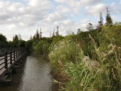 -吴淞炮台湾湿地森林公园烧烤区