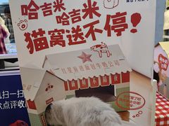 -红星前进面包牛奶公司(君太店)