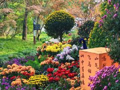 -上海醉白池公园