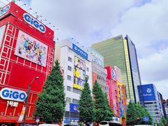 -秋叶原电器街