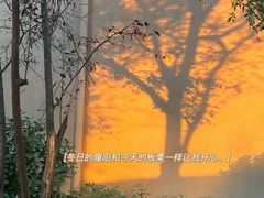 -本来精品川菜(嘉里中心店)