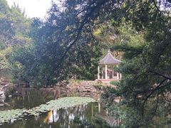 -叶家花园