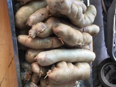 -蔡伯糯米猪肠