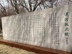 -桃花堤公园