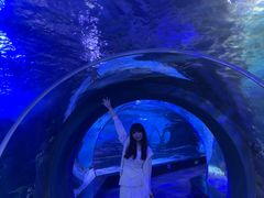 -江和美海洋公园