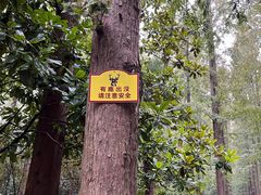 -上海怡沁园度假酒店