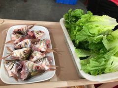 鱼头-秦记南岗鱼锅(珠吉路店)