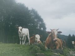 -硗碛藏寨·神木垒景区