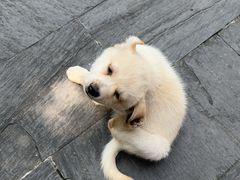 -途中饭店(开化店)