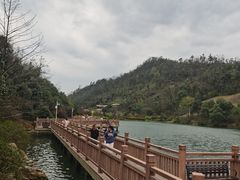 -桃花岭景区
