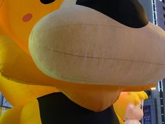 -苏宁易购(Suning Elec无锡五洲国际装饰城)