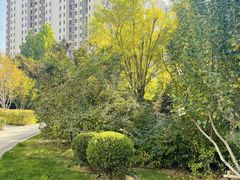 -凤凰汇购物中心