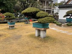 -水绘园