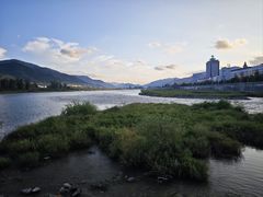 -江心岛