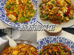 -新新湘菜馆(新中街二条店)