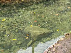 -午潮山国家森林公园