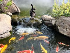 -罗红摄影艺术馆