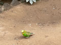 -南宫五洲植物乐园