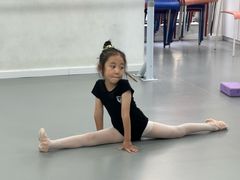 -西安小天鹅艺术团(金花路校区)