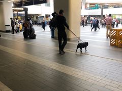 -伯明翰新街火车站