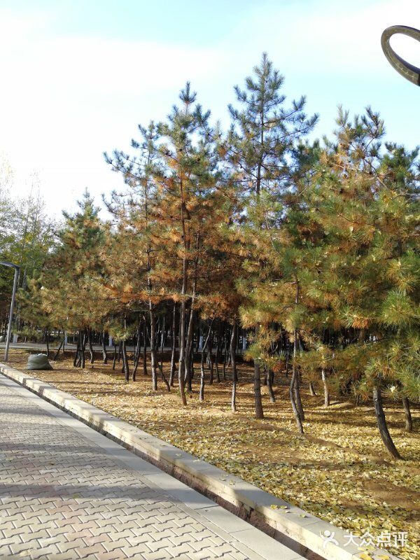 阿尔丁植物园图片