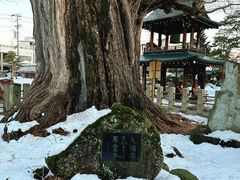 -医王山·飞騨国分寺