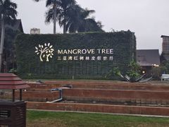 -三亚湾红树林度假世界(木棉酒店)