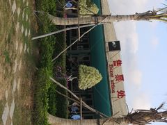 -亚龙湾国际玫瑰谷