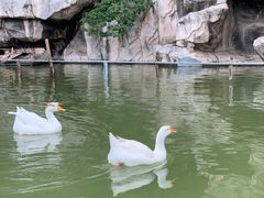-达活泉公园