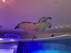 -贝林大翅鲸简餐厅(国家海洋博物馆店)