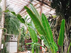 -龙达温泉生态城