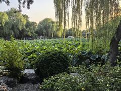 -莲池书院博物馆